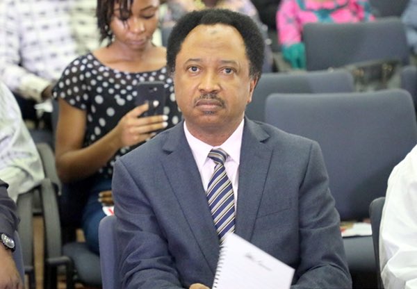 'Why Former British Colonies Have Left Nigeria Far Behind' - Senator Sani